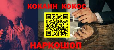 крисы Можга