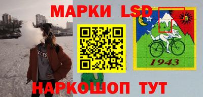 крисы Можга