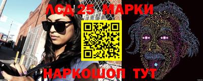 крисы Можга