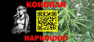 крисы Можга