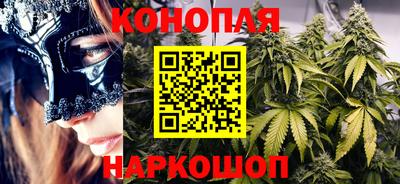 сатива Нальчик