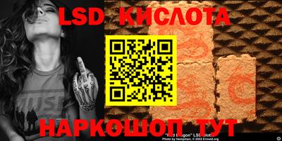 крисы Можга