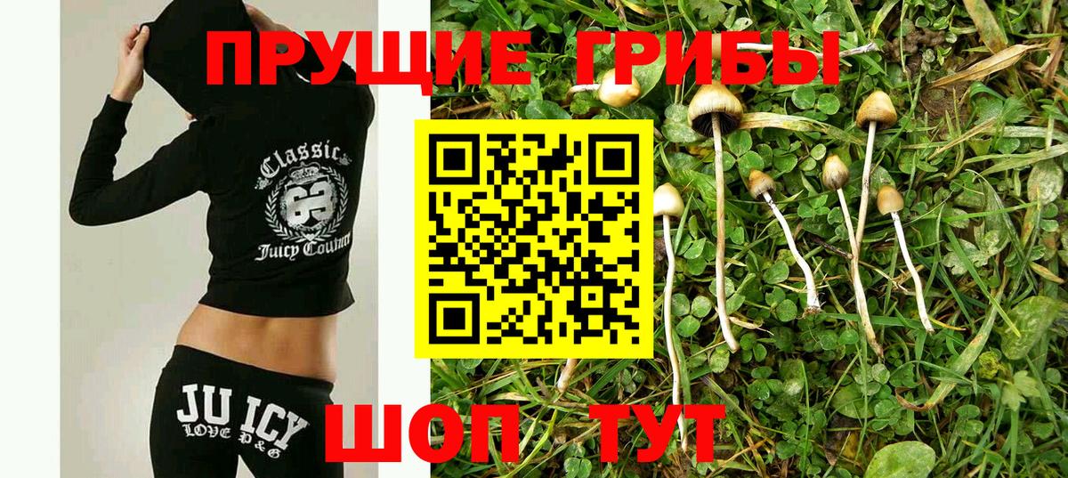 Псилоцибиновые грибы Psilocybe  Вход с VPN  Псилоцибиновые грибы Psilocybine cubensis  Чайковский 